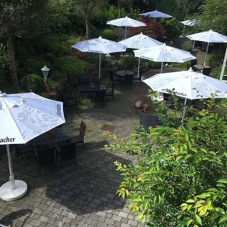 恩格曼卡夫酒店 4* 温特贝格